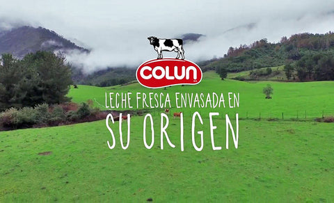 Yoghurt Light Vainilla Endulzado - 900 grs.