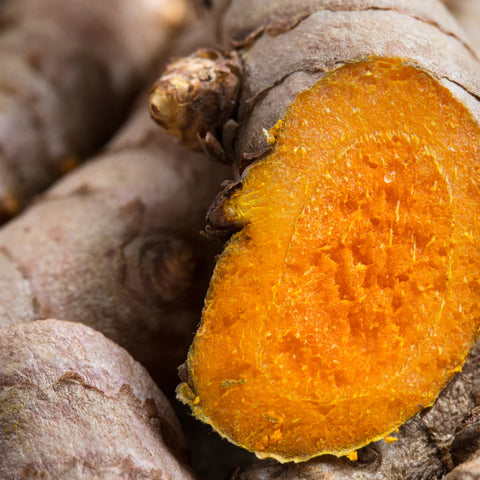 Cúrcuma Agroecológica (100 grs.)