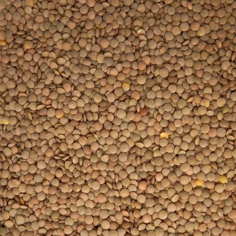 Lentejas 6mm