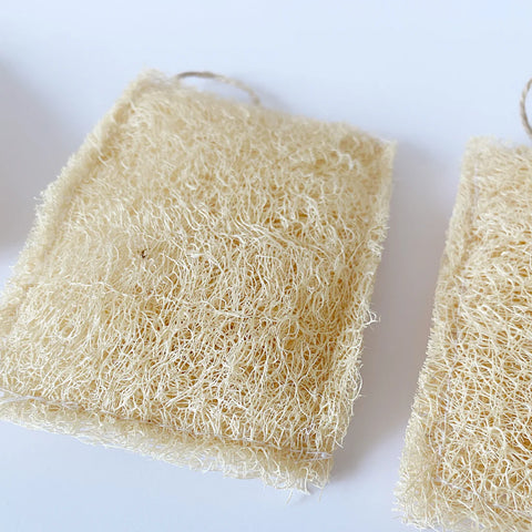 Esponja de Luffa