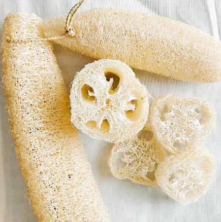 Luffa Vegetal Mediana