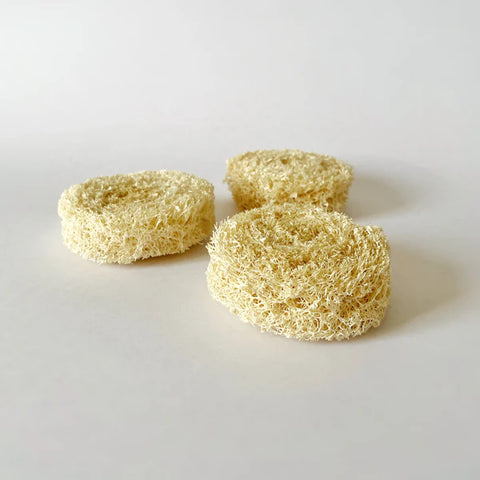 Virutilla de Luffa