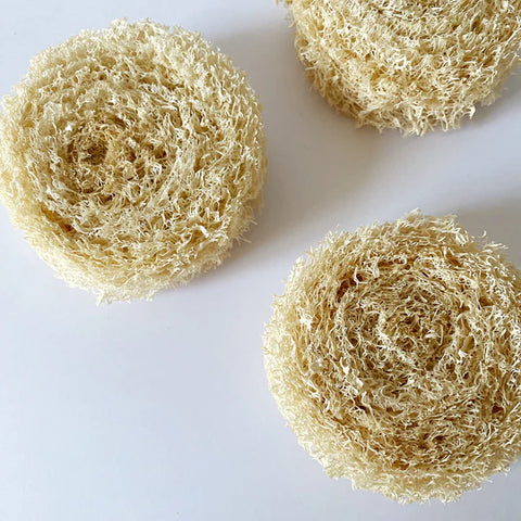 Virutilla de Luffa