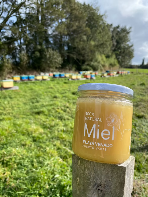 Miel Multifloral Playa Venado (500 grs.)