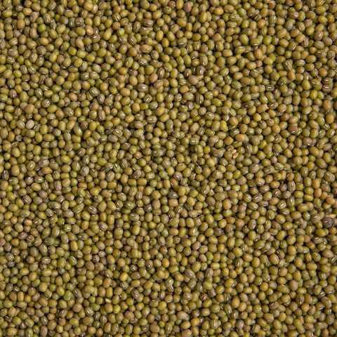 Porotos Mung