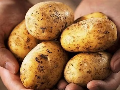 Papas Blancas Agroecológicas