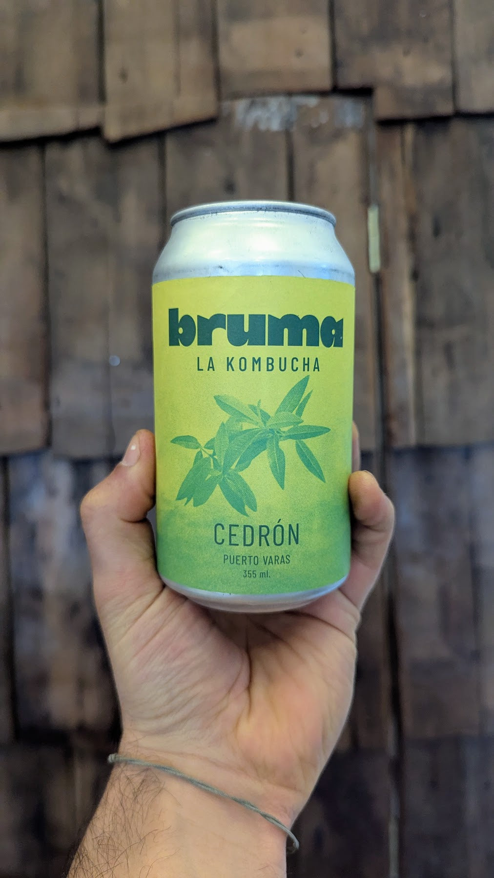 Kombucha Cedrón (473 ml.) Manto Verde | Mercado Vecinos Puerto Varas