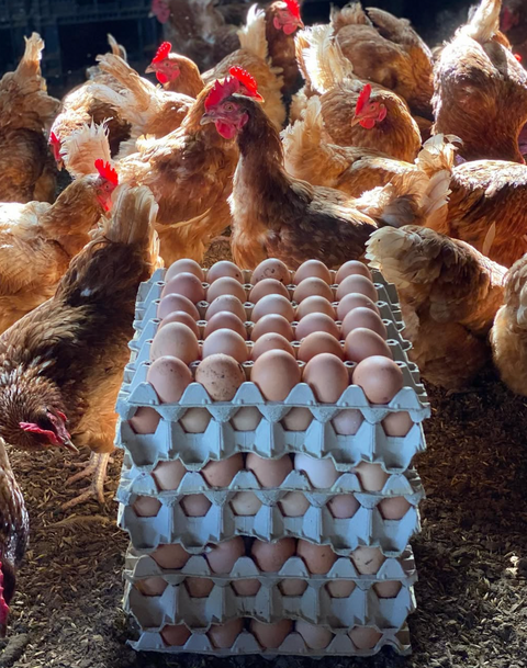 Huevos El Rancho