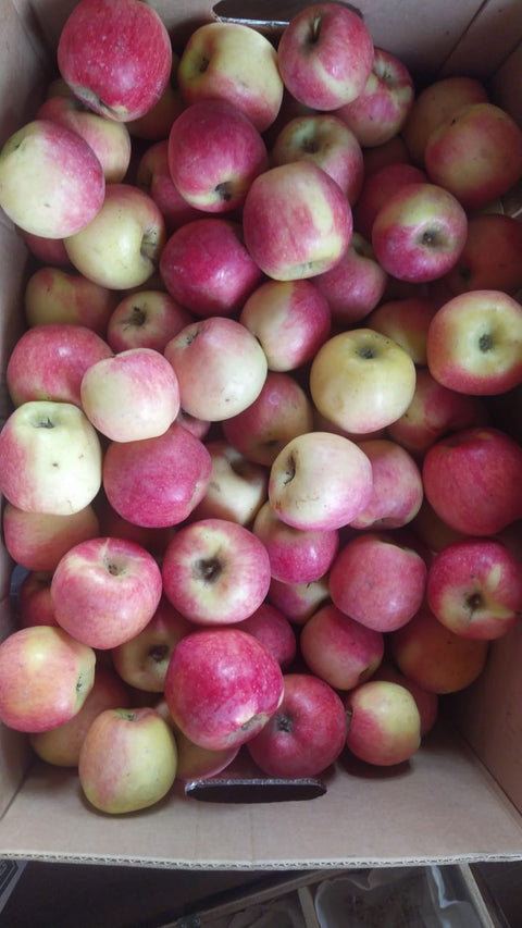 Manzanas Fuji Biodinámicas (1 Kg.)