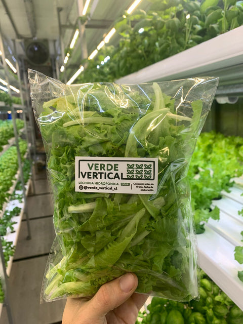 Lechuga Hidropónica (150 grs.)