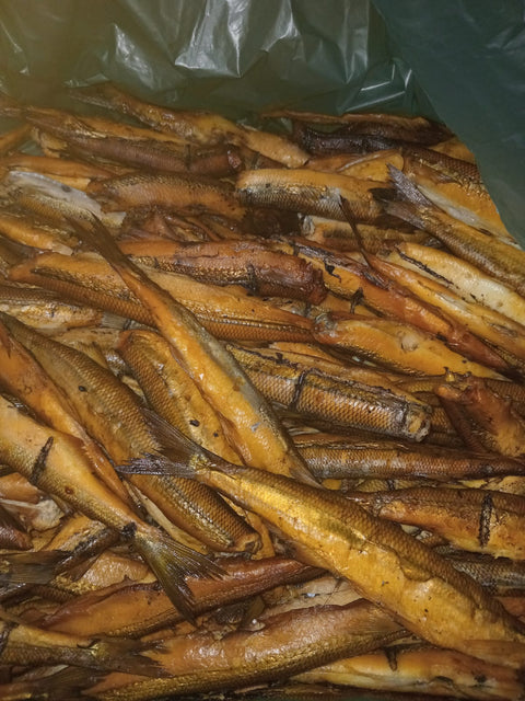 Pejerreyes Ahumados en Aceite