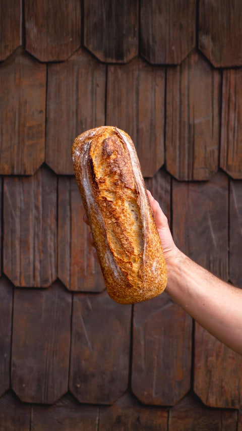Pan de Campo - Masa Madre