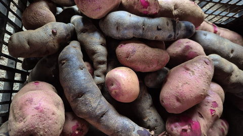 Mix Papas Nativas (1 Kg.)