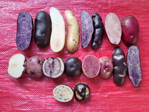 Mix Papas Nativas (1 Kg.)