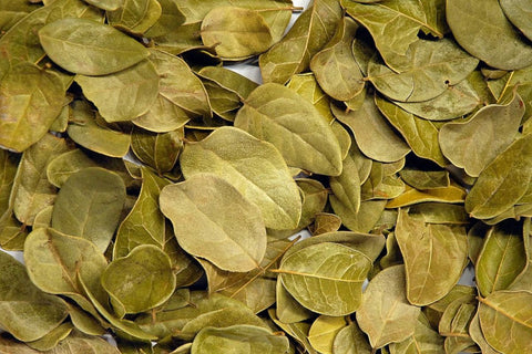 Cilindro Boldo a granel