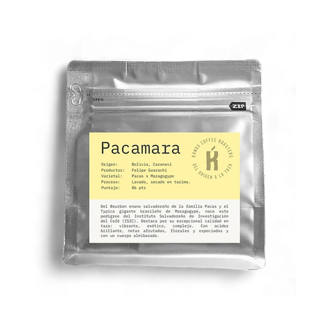 Café Bolivia Pacamara Lavado - Felipe Guarachi (Microlote)