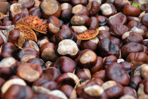 Castañas (500 grs.)