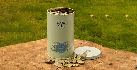 Cilindro Boldo a granel