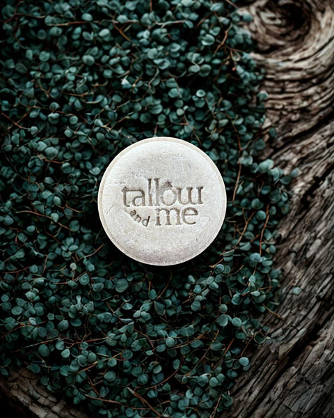 Shampoo en barra Cabello Graso de Tallow, Árbol de té y eucalipto