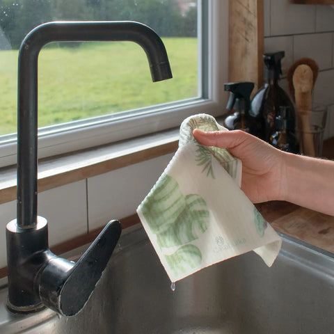 Set de 3 Paños Esponja Compostables