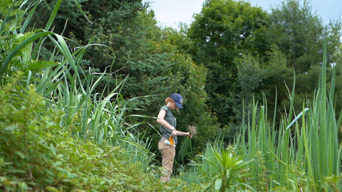 Bienvenido a la Vecindad!