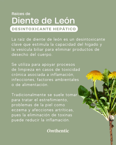 Tintura medicinal - Raíz de diente de león