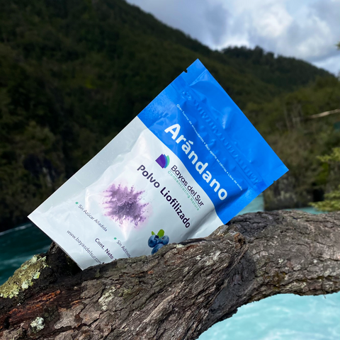 Polvo Liofilizado Arándano Orgánico (100 grs.)