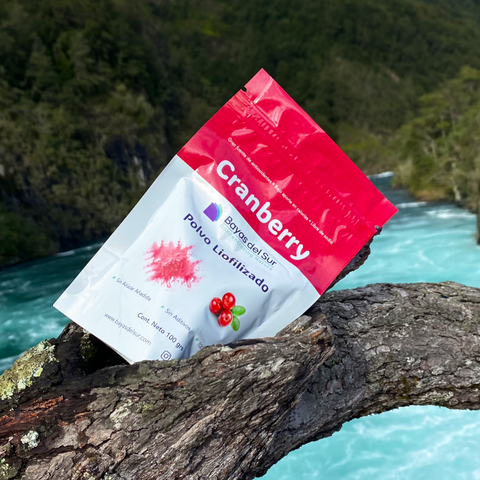 Polvo Liofilizado Cranberry