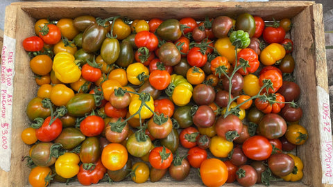 Mix de tomates cherry