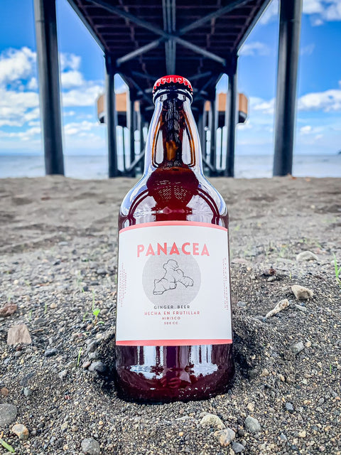 Ginger Beer Hibisco (500 cc.)