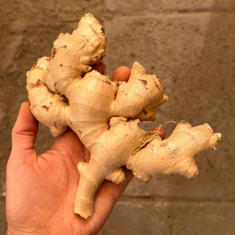 Jengibre Agroecológico (200 grs.)