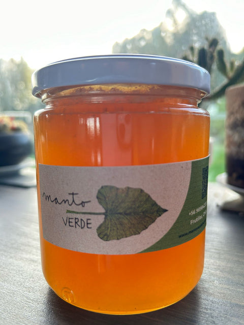 Miel Multifloral (500 grs.)