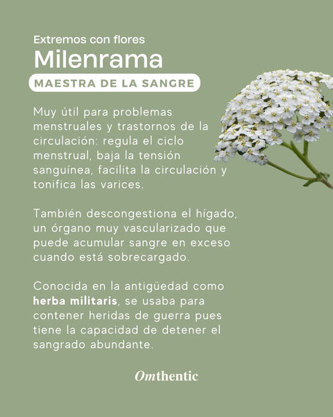 Tintura medicinal - Milenrama