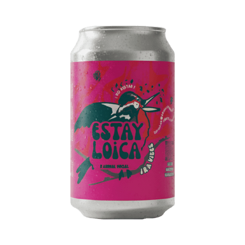 Kombucha Estay Loica (IRA Vibes)
