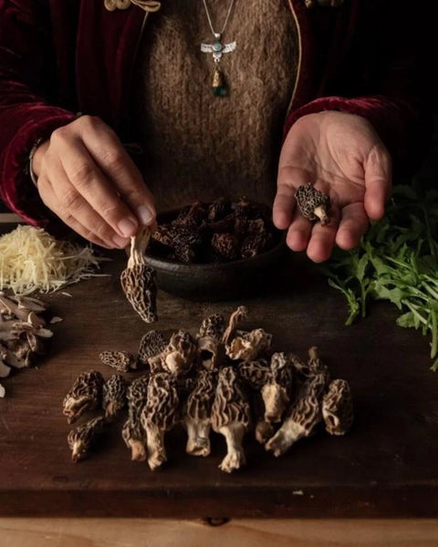 Morchellas Deshidratadas