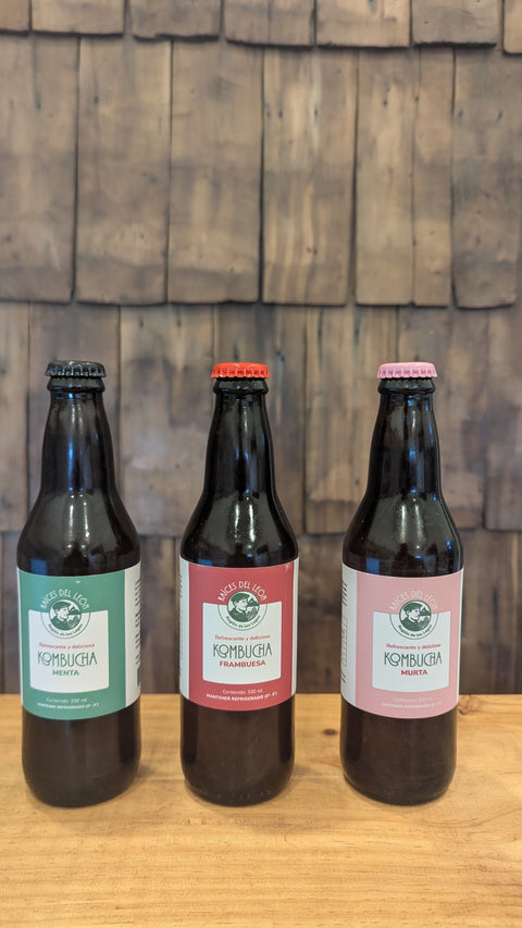 Kombucha Frambuesa 330 cc.