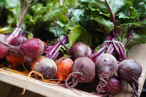 Betarragas de colores