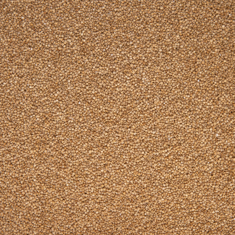 Quinoa Blanca