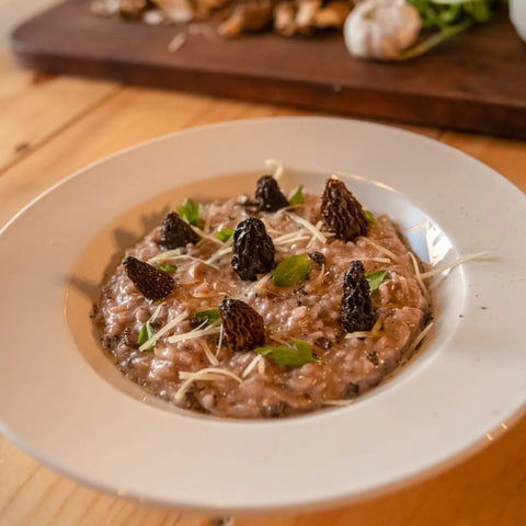 Morchellas Deshidratadas