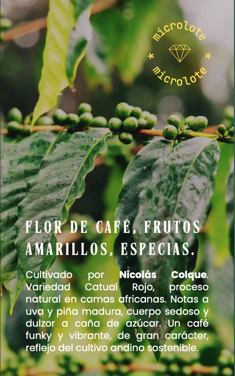 Café Bolivia Pacamara Lavado - Felipe Guarachi (Microlote)