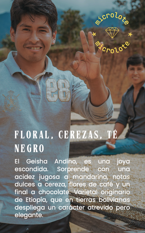 Café Bolivia Geisha Lavado - Gonzalo Mamani (Microlote)