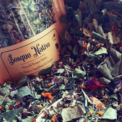 Tizana Bosque Nativo — 30grs