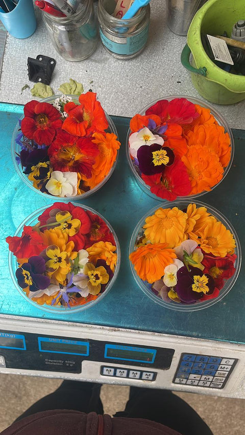 Flores Comestibles