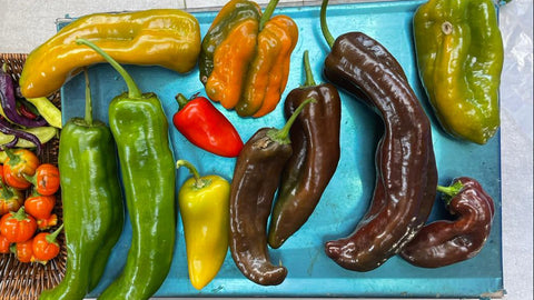 Pimentones variedades (2 Unidades)