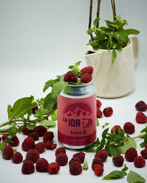 Kombucha Berry/Menta