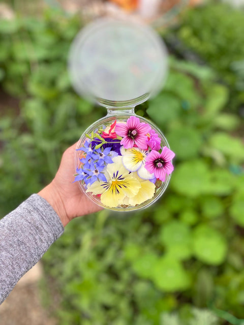 Flores Comestibles (50 grs.)