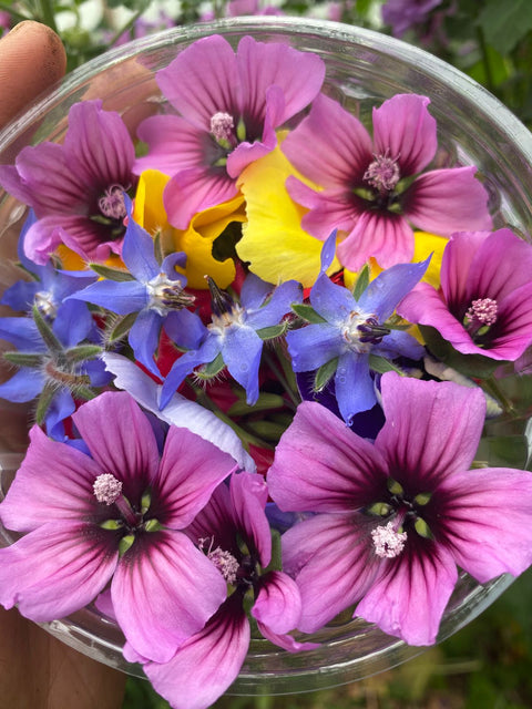 Flores Comestibles (50 grs.)