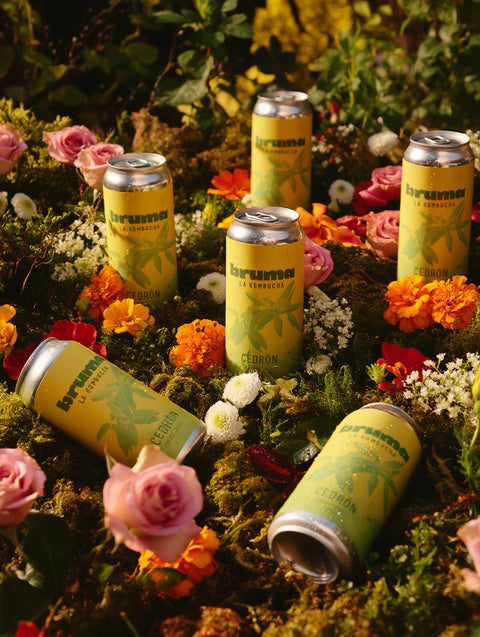 Kombucha Cedrón (355 ml.)