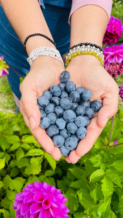 Arándanos Agroecológicos (2 Kg.)