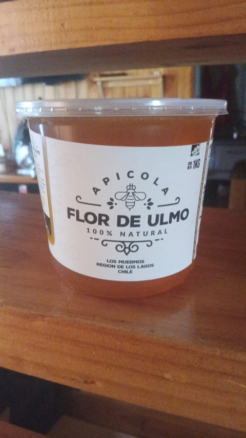 Miel de Ulmo 1 Kg.